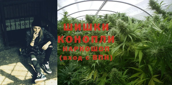 прущие крисы Богданович