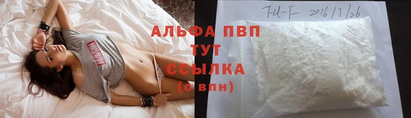 мдпв Богородицк