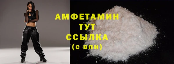 мдпв Богородицк