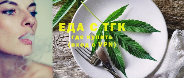 мдпв Богородицк