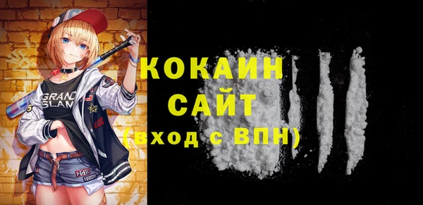 мдпв Богородицк