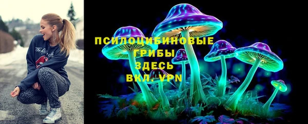 прущие крисы Богданович