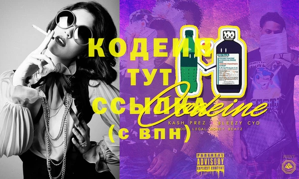 мдпв Богородицк