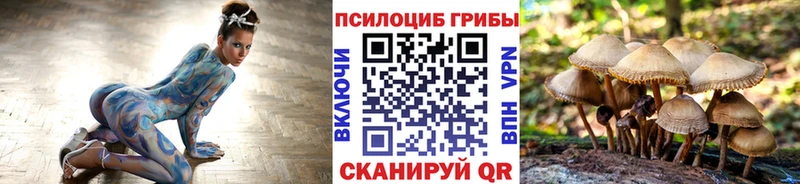 Псилоцибиновые грибы мухоморы  цены наркотик  Котельники 